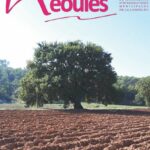 Journal de Néoules – Automne 2022