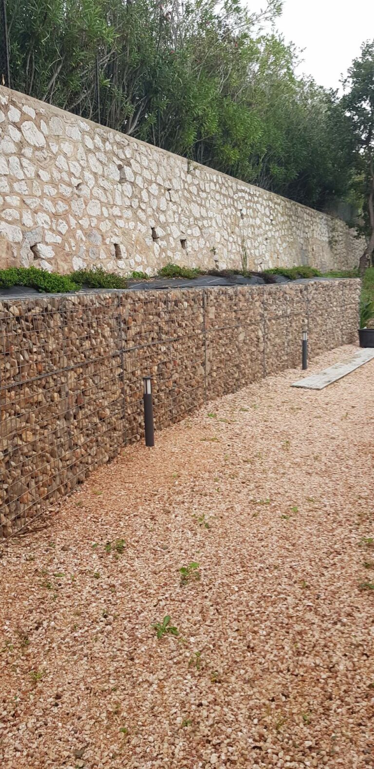 Resized 20191105 084241 768x1580