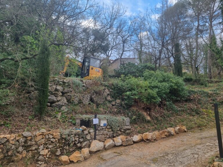 Resized 20230404 085548 768x576