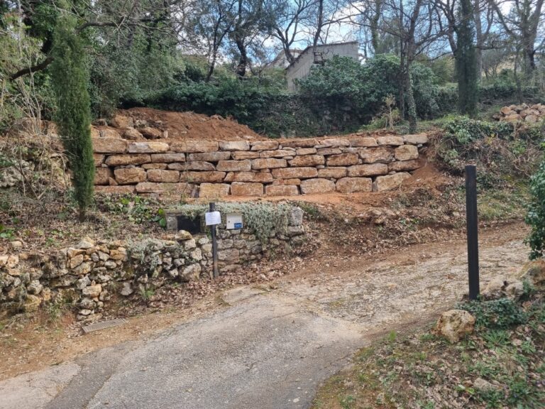 Resized 20230405 165348 768x576