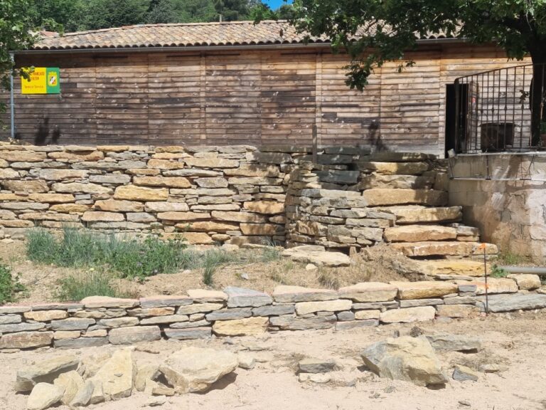 Resized 20230512 113359 768x576