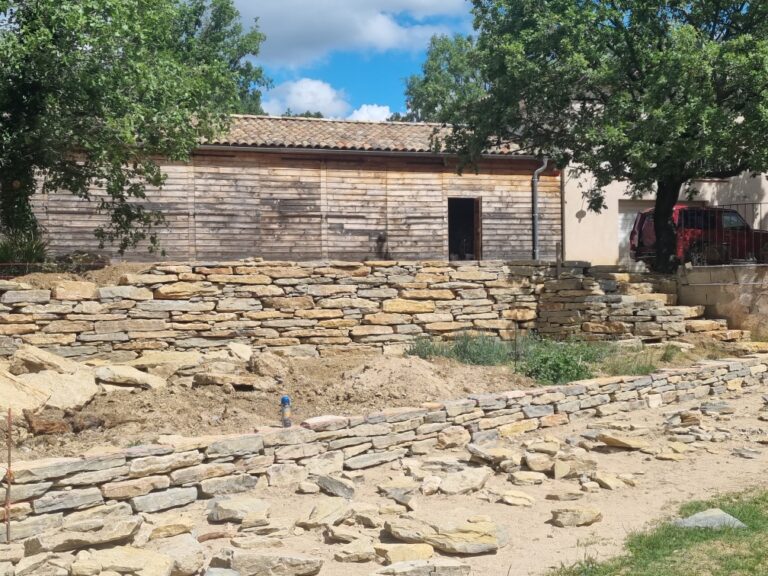 Resized 20230512 113423 768x576