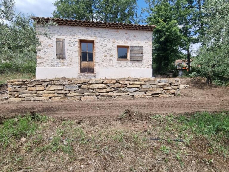 Resized 20230523 124939 768x576